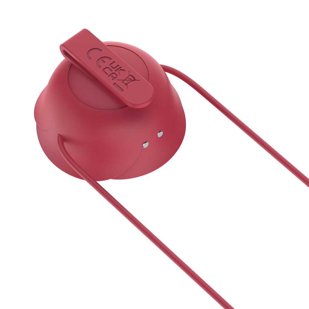 Electric Nipple Clamp Breast Massage Vibrator Couples Female